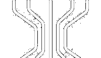 Sicomoro